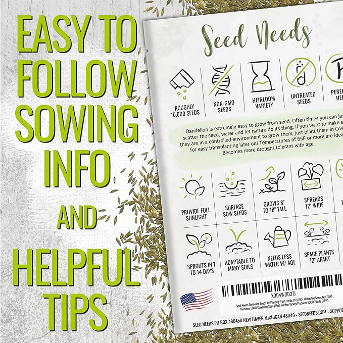 Seed Needs Dandelion Seeds for Planting Fresh Herbs | 10,000+ Untreated Seeds Non GMO Heirloom | Bulk Dandelion Seed | Herb Garden Variety Produces Edible Plants