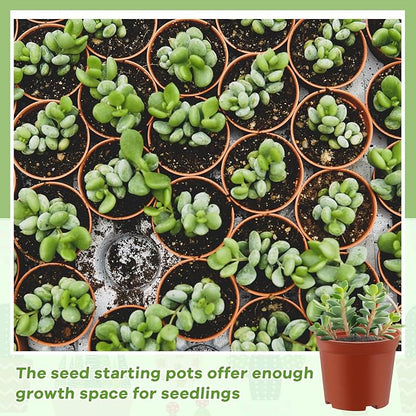 Yaomiao 200 Pcs 3 Inch Red Mini Plastic Plant Pot Nursery Seedling Pots Seed Starter with Drainage Holes for Indoor Outdoor Garden Succulent Plants Cuttings Transplanting