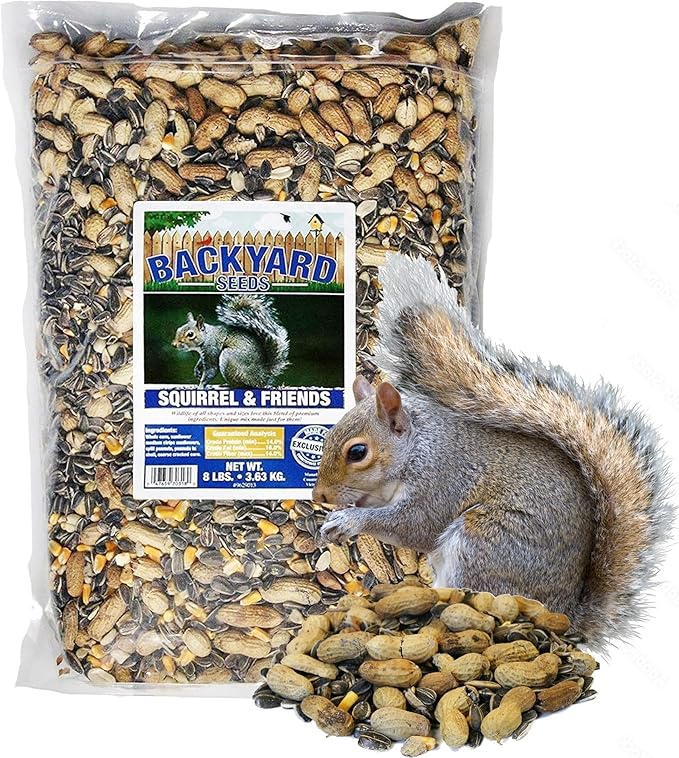 CountryMax Backyard Seeds Squirrel & Chipmunk Food Mix – 8 lb Bag – Premium Wildlife Blend with Sunflower Seeds, Peanuts & Corn – Ideal for Squirrels, Chipmunks, Rabbits & Backyard Birds