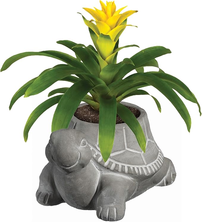 Classic Home and Garden Cement Buddies Animal Planter - Cute Desk Decoration - UV Coated Animal Vase w/Removable Drain Plug -Succulent Planter for Indoor/Outdoor Use (Turtle Planter, Natural, Small)