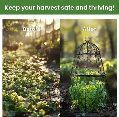 Easy-Snap Open Design Chicken Wire Cloche (6-Pack) - Adjustable Garden Plant Protectors from Birds & Animals for Large Plants & Flowers, 14" Dx20 H (M)