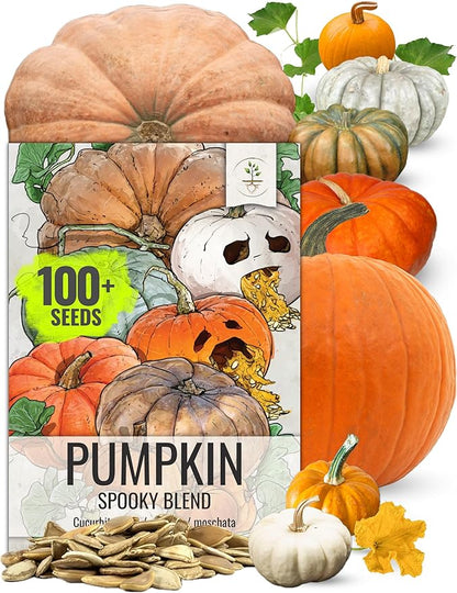 Seed Needs Pumpkin Seeds to Plant Specialty Spooky Blend |10+ Premium Varieties Lumina White, Baby Boo, Blue Jarrahdale, Cinderella & More! | Heirloom Non-GMO Untreated | Bulk