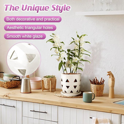 Aulock 6in Ceramic Orchid Pot with Drainage Holes, Decorative Planter, Excellent Airflow for Healthy Roots, for Repotting Indoor, Triangle Style