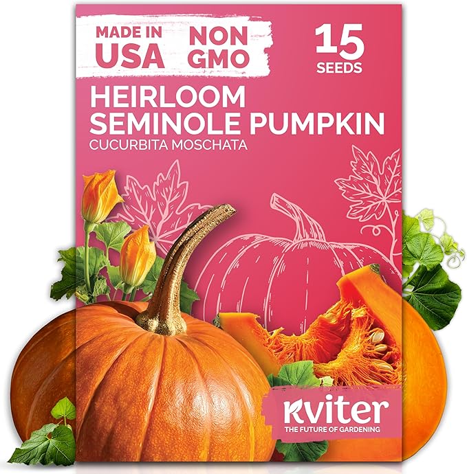 KVITER 15 Seminole Pumpkin Seeds for Planting (Cucurbita Moschata) - Heirloom Pumpkin Seeds Organic for Indoor & Outdoor Planting, Non-GMO Mini Pumpkins Vegetable Seeds for Planting