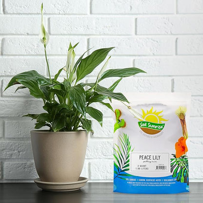 Soil Sunrise Peace Lily Potting Soil Mix (2 Quarts) for Planting, Growing, or Repotting Peace Lily Plants