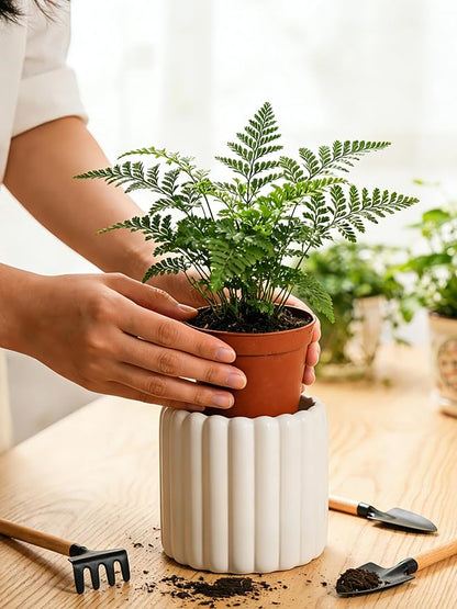Ceramic Plant Pots,6 inch+4.7 Inch Planter Pot with Drainage Holes,Ceramic Planters for Indoor Plants,Modern Flower Pots for Indoor Outdoor Plants House & Office Décor,Cream White