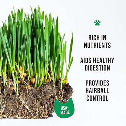 The Cat Ladies Cat Grass Growing Kit - Organic Seed, Soil and BPA Free containers (Non GMO) - All of Our Seeds are Locally Sourced - 1 Pack