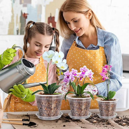6 Pack Clear Plant Saucer, Durable Plant Drip Trays Saucers for Pots, No Holes Water Catcher Trays for Indoor Outdoor Planter, Sturdy Base Plate (Clear, 3"-6Pack)