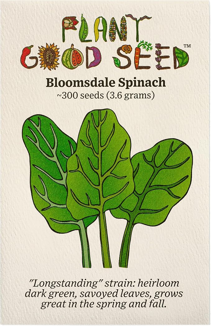 Plant Good Seed Organic Bloomsdale Longstanding Spinach Seeds - Pack of 300, Heirloom Seeds for Planting Vegetables - Gardening Supplies, Vegetable Garden - Non-GMO, Open Pollinated, from USA