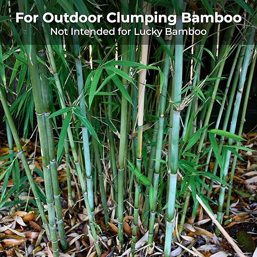 Bamboo Special 12 Month Control Release 13-5-11 High Nitrogen Fertilizer - 5 Pound Package