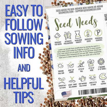 Seed Needs Texas Bluebonnet Seeds for Planting Blue Lupinus Flowers - Heirloom & Open Pollinated Wildflower Seed to Plant an Outdoor Butterfly Garden to Attract Pollinators (XL Pack)