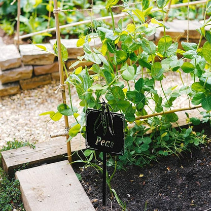 Metal Seed & Plant Labels - Plant Markes for Seedlings-Plant Tags for Pots - Garden Signs for Vegetable - Durable Markers for Plants Outdoor Waterproof - Garden Decor for Farmhouse(Broccoli)