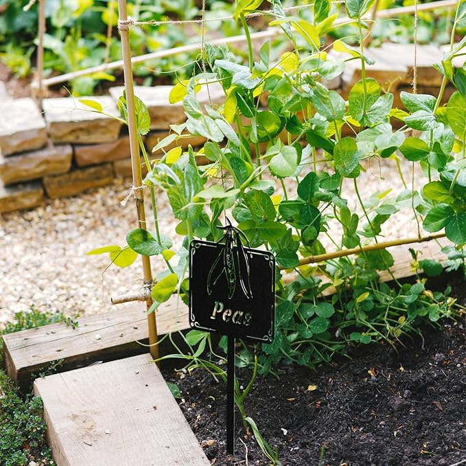 Metal Seed & Plant Labels - Plant Markes for Seedlings-Plant Tags for Pots - Garden Signs for Vegetable - Durable Markers for Plants Outdoor Waterproof - Garden Decor for Farmhouse(Eggplant)