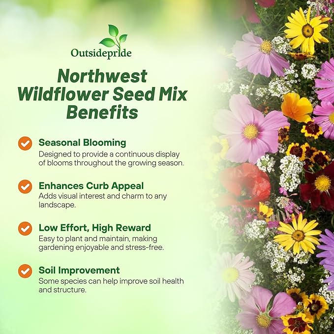 Outsidepride Northwest Wild Flower Seed Mix - 1 lb Premium Blend of Annual & Perennial Wildflower Seeds for Northwestern States - Ideal for Attracting Pollinators, Perfect for Garden Displays