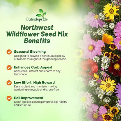 Outsidepride Northwest Wild Flower Seed Mix - 1 lb Premium Blend of Annual & Perennial Wildflower Seeds for Northwestern States - Ideal for Attracting Pollinators, Perfect for Garden Displays
