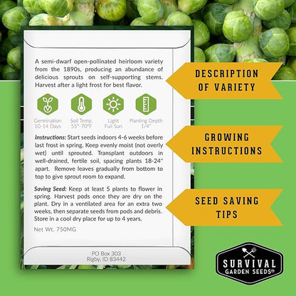 Brussels Sprouts Seeds 3 Variety Pack for Planting | Red, Catskill, Long Island Improved Heirloom Vegetable Seed to Plant Cool Season Open-Pollinated Brussel Sprout Types – Survival Garden Seeds