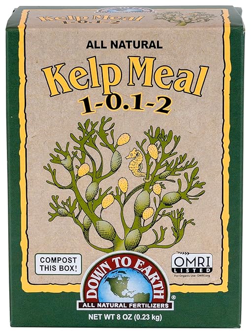 Down To Earth All Natural Fertilizers Organic Kelp Meal - Plant Food with Seaweed (Ascophyllum nodosum), Potassium and Trace Minerals 1-0.1-2, 0.5 lb