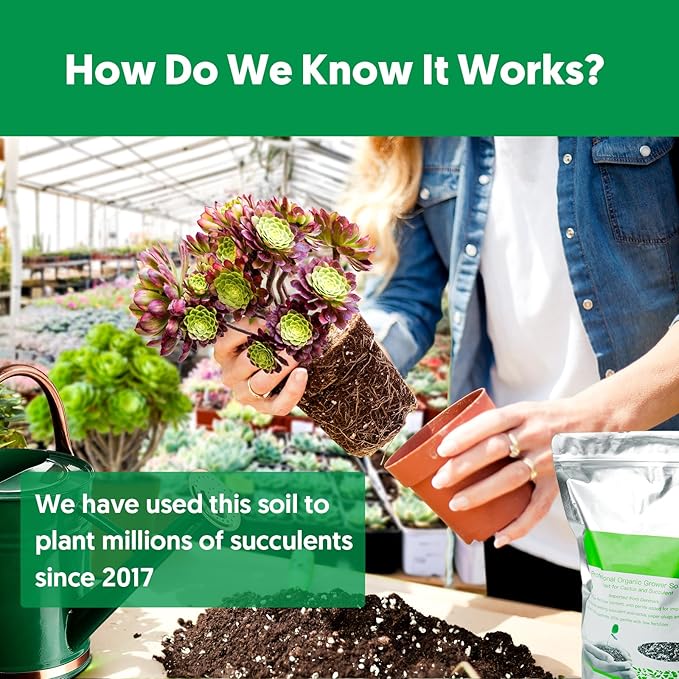 Succulent Cactus Potting Soil Mix (12 qt), All-Purpose Garden Potting Mix for Indoor Outdoor Plants, Quick Drain Houseplant Orchid Bonsai Perlite Soil, Ready-to-Use, Resealable Bag Design