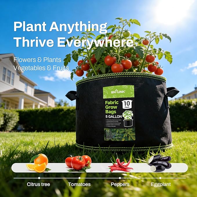 BN-LINK 10-Pack 5 Gallon Grow Bags, Heavy Duty Aeration Fabric Pots with Handles, Thickened Nonwoven Plant Bags for Vegetables, Flowers, Fruits