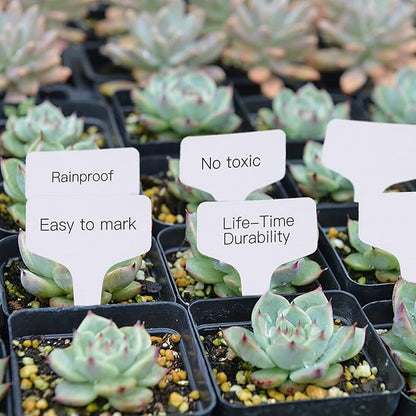 Prudance® 50 Pack Reusable Waterproof Plant Markers for Garden T-Type Plant Labels for Seedlings Potted Plants Vegetables Succulents Durable Weatherproof Garden Tags (White)