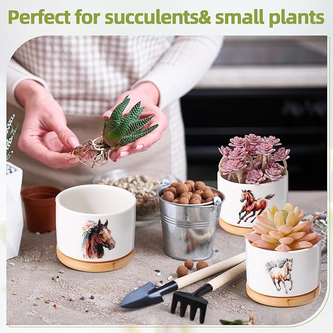 Vesici 3 Pcs Horse Gifts for Women Horse Planter Succulent Pots with Drainage and Bamboo Tray Small Ceramic Succulent Planters Animal Plant Pot for Christmas Office Home Decor Plant Lovers