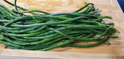 Yard Long Bean Seeds 85+ Seeds, Asian Heirloom Yard Long Beans Seeds, Asparagus Beans Seeds, Phaseolus Vulgaris, Non GMO