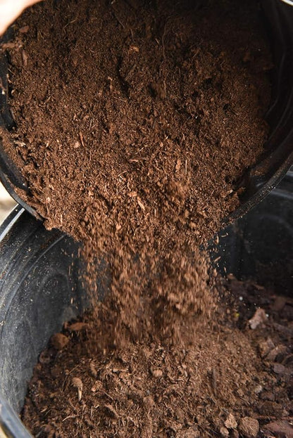 Organic Sphagnum Peat Moss by Perfect Plants - 8 Dry Quarts Absorbs Essential Nutrients When Added to Soil and Enriches Plant Roots - Indoor and Outdoor Soil Medium and Acidifier