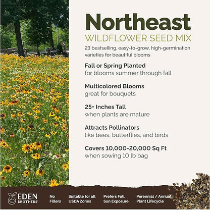 Eden Brothers Northeast Wildflower Mixed Seeds for Planting, 10 lb, 4,800,000+ Seeds with Cosmos, Candytuft, Shasta Daisy | Attracts Pollinators, Plant in Spring or Fall, Zones 3, 4, 5, 6, 7, 8, 9, 10