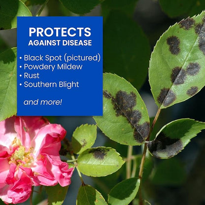 BioAdvanced All-In-One Rose and Flower Care I, Granules, 4 lb