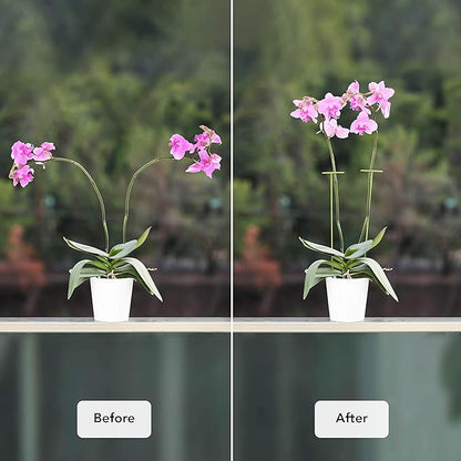2 Pack Plant Stakes | Plant Supports for Tall Plants and Flowers | Green Garden Stakes | Help Your Flowers Grow | Tomato Cages for Garden | Plant Sticks for Orchid, Amaryllis, Peony, Peppers and More