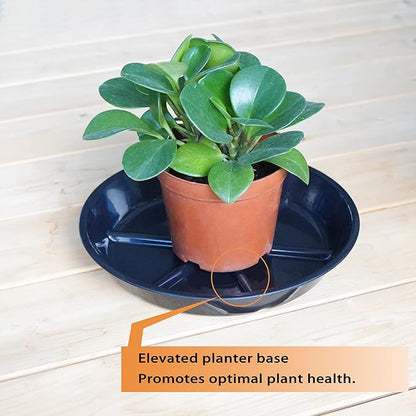 2 Pack of 12 Inches Plant Saucers for Indoor, Durable Plant Saucer Pot Tray, Round Plastic Flower Plant Dish Pant Plate to Catch Water, Black