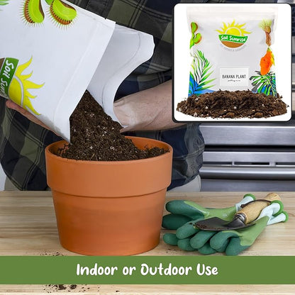 Soil Sunrise Banana Tree Potting Soil Mix (12 Quarts) – Hand-Blended Indoor/Outdoor Mix for Healthy Banana Plants – Enhances Drainage & Root Support – Made in USA