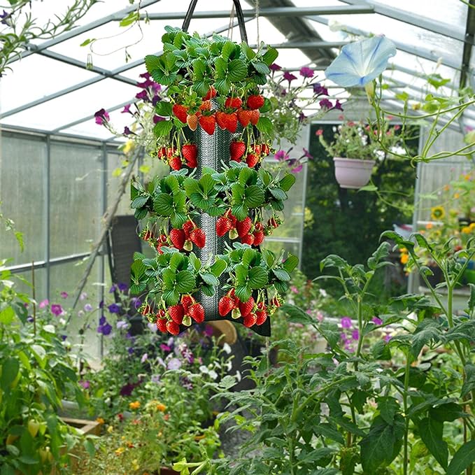 SOLGLO Planter, 70CM Hanging Bag, Upside Down Tomato/Herb/Strawberry Planter, 8 Hole, Indoor & Outdoor Use, Sun Shade Adaptable, Green