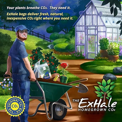 Exhale Homegrown CO2 XL 365 - Self-Activated CO2 Bags for Indoor Grow Rooms & Grow Tents - Foliage Mushroom Bags (1 Pack)