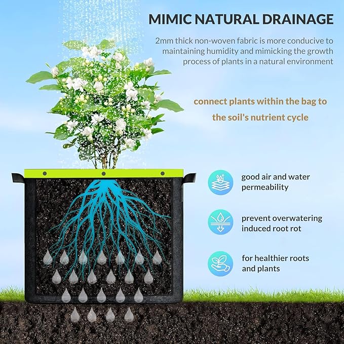 Grow Bags 6 Pack 2MM 400G More Heavy Duty Thickened Nonwoven Garden Plant Fabric Pots (Black, 5 Gallon)