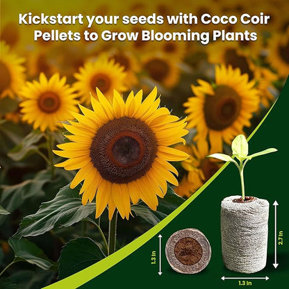 Gro-Med Organic Coco Coir Seed Starter Pellets NPK Enriched 100 Pcs, 35mm Perfect to Grow Herbs, Vegetables, Flowers Seedling, Compressed Coconut Coir Soil Plugs for Seed Germination - OMRI