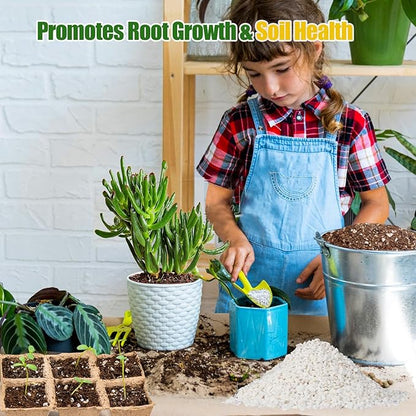 Horticultural Perlite for Plants 2qt, All Natural Horticultural Soil Additive Conditioner Mix, Improve Ventilation and Drainage, Enhance Soil Health and Root Growth