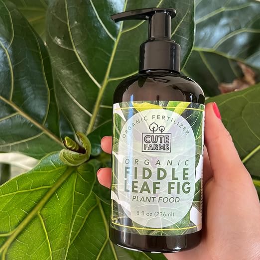 Organic Fiddle Leaf Fig Tree Fertilizer for Ficus Lyrata & Ficus Audrey – Urea-Free, Calcium-Enriched Formula with a Balanced NPK Ratio of 3-1-2 for Strong Roots & Lush Leaves (8 oz) Cute Farms