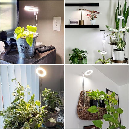 Grow Lights for Indoor Plants,Full Spectrum Plant Lights for Indoor Growing with 3/9/12H Timer, 3 Color Modes, 10 Brightness, 6.5"-26" Height Adjustable Small Grow Light, 2 Pack(3.4in)