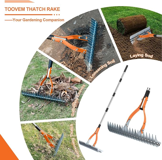 TOOVEM Thatch Rake, 15-inch Lawn Thatching Rake with Heavy Duty Steel Tines & Ergonomic Handle, 70'' Professional Dethatching Rakes for Cleaning Dead Grass, Yard Garden Durable Soil Rakes