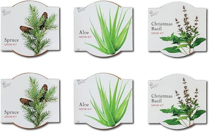 BUZZY Seeds Terracotta Mini Grow Pots 6-Pack Radiant Series – Mixed Herb, Succulent, and Tree Seed Kit for Indoor Gardening and DIY Projects