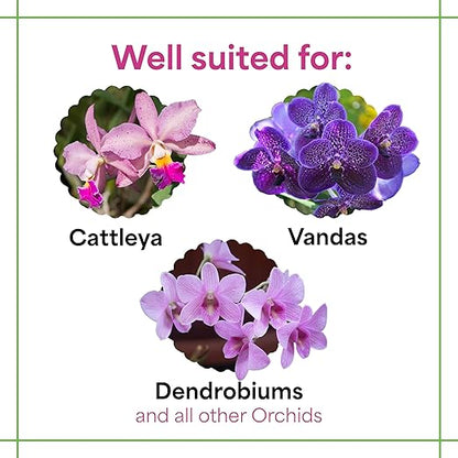 Grow More All Purpose Orchid Fertilizer 20-20-20 for Soil Maintenence Year Round - 10oz of Water Soluble Orchid Food Fertilizer - Plant Food for Healthy Growth & Vibrant Blooms