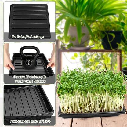 6Set Microgreens Growing Mat with Tray, Microgreen Growing Kit 10″×10″ Wheatgrass Seed Sprouting Starter Mat Hemp Fiber Grow Tray Hydroponic Jute Pads Indoor Organic Production for Germination Sprouts
