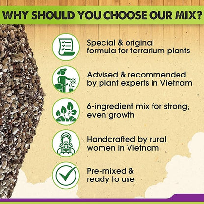 DUSPRO Recycle Premium 6in1 Terrarium Soil Mix – Pre-Mixed Terrarium Substrate Mix for Terrariums, Balanced Moisture Growing Medium with Coco Coir, Peat Moss, Pine Bark, Perlite, Pumice & Zeolite 8QRT