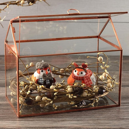 D'Eco Glass House Centerpiece (10x6x8)- Tabletop Planter Terrarium - Valentine's Day Home Decor & Wedding Letterbox - Fill with Succulents, Moss, Roses & Chocolates - Valentines Gift for Plant Lovers