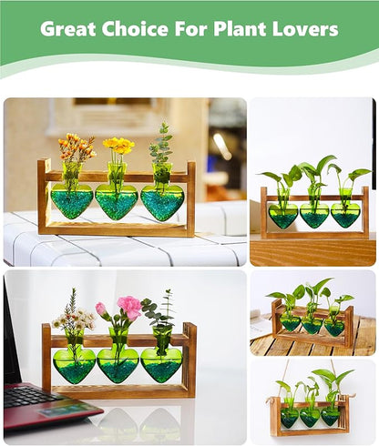 Nacome Plant Terrarium Propagation Stations: Birthday Gifts for Plant Lovers Women Mom Wife Daughter - 3 Bulb Glass Vase with Wooden Stand Tabletop for Hydroponics Home Garden Decor(Green)