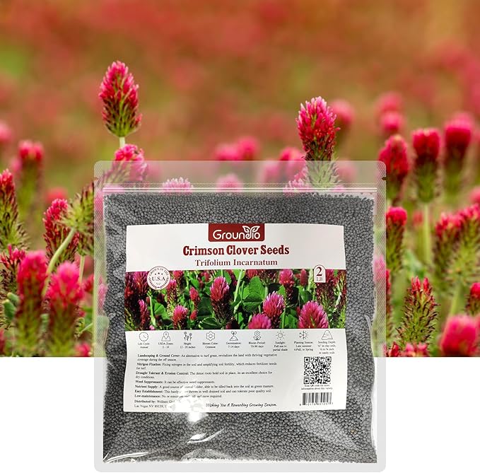 Annual Crimson Clover Seeds, 2 lbs, Trifolium Incarnatum Seeds for Lawn Alternative, Attracts Pollinators, Nitrocoated and Inoculated