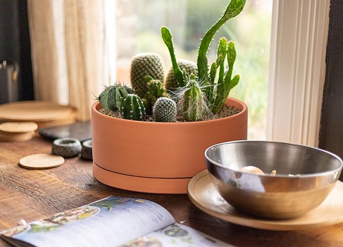 D'vine Dev 12 Inch Succulent Terracotta Shallow Pot with Drainage Hole and Saucer, Round Cylinder Planter Pot for Plant Flower, 40-Y-C-0