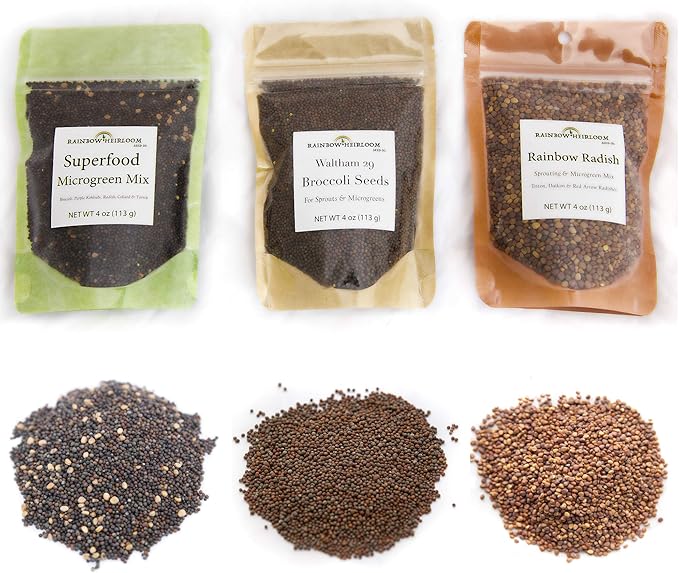 Heirloom Sprouting & Microgreen Seed Variety Pack | Contains Waltham 29 Broccoli Sprouting Seeds, Rainbow Radish Sprouting Seeds Mix & Superfood Microgreen Mix | Non-GMO | Rainbow Heirloom Seed Co.