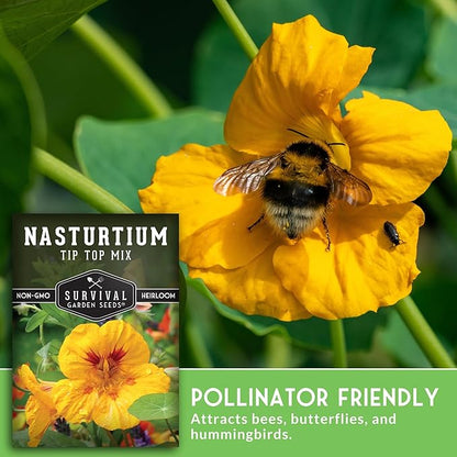 Nasturtium Seeds for Planting Outdoors – Tip Top Mix Heirloom Variety of Edible Flowers & Companion Plants, Non-GMO Seeds for Home Gardens - Survival Garden Seeds (1 Pack)